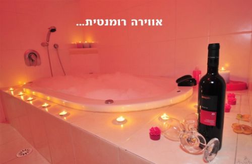 וילת הברון