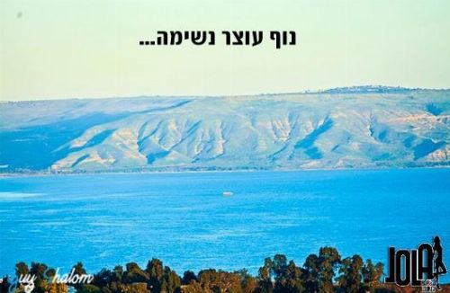 וילה דה ויו